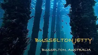 Scuba Diving Busselton, Western Australia (Busselton Jetty & Underwater Sculpture Park)