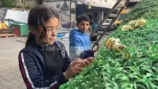 Gaza's tiny Christian community tries to revive the holiday spirit during the ceasefire