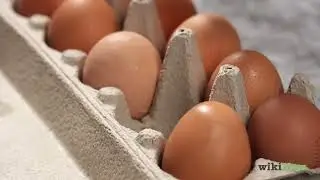 Egg Float Test Myth: Is It Accurate?