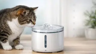 📝 Fontaine A Eau Chat &ndash; Hydratation & Bienfaits Pour Votre F&eacute;lin
