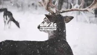 Waesto - Coconut | Waves No Copyright Background Music