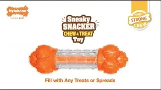 Sneaky Snacker Dog Treat Toy