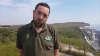 The White Cliffs of Dover, National Trust interview