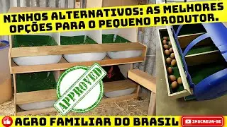 NINHO DAS GALINHAS: Reduza Custos na Sua Granja: Estratégias para Economizar nos Equipamentos