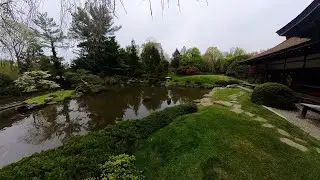 Shofuso Japanese House and Gardens bring Japan to Philly