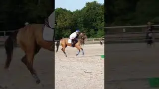 Mounted Games | Windsor Game