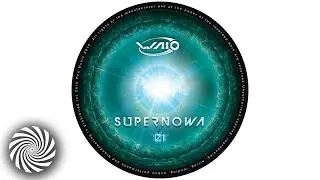 Tristan feat. Raja Ram - Beautiful Garden (WAIO Remix)