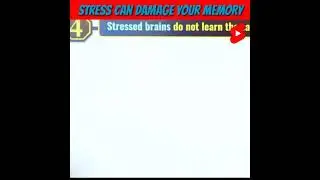 Stress Can Damage your Brain 😣😥 A2 Amazing Facts #shorts #a2shorts #arvindarora