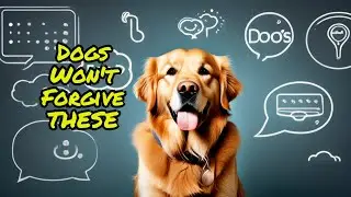 Betrayed by Your Dog: Understanding Canine Communication