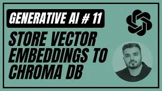11. How to Store Vector Embeddings To ChromaDB using Python | Generative AI | NLP