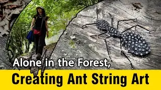 wild String Art challenge; Ant on tree stump + cooking