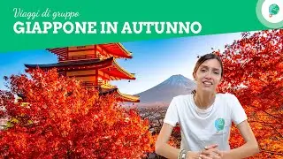 Viaggio organizzato: Giappone in autunno
