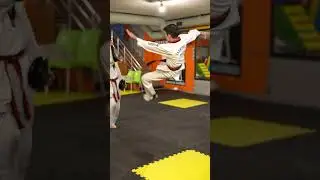 FIGHT ROUND 1 TAEKWONDO KARATE DO TRAINER   21