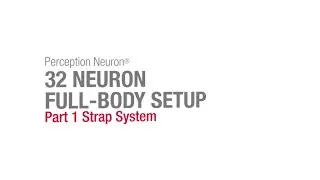 32 Настройка всего тела Neuron, часть 1 &mdash; система ремней