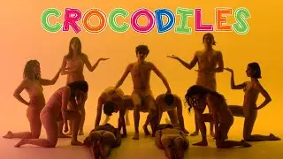 COLAS - Crocodile
