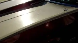 Mrbass226 spl run - DC Audio -156.5