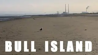 Bull Island Beach Co. Dublin Ireland