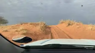 Kgaglagadi Transfortier Nationalpark: Fahrt von Nossob - Bitterpan - weiter Richtung Mata-Mata