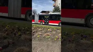 MAN NG363 #469 MZK Przemyśl