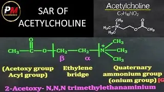 SAR of Acetylcholine || Medicinal Chemistry-1 || Sem-5 || PHARMACY