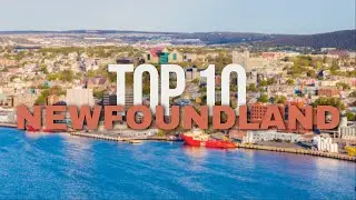 Family Fun:  Top 10 Things to Do in Newfoundland