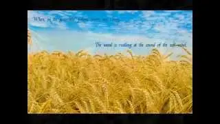 Когда волнуется желтеющая нива - When Yellowing Cornfields Wave