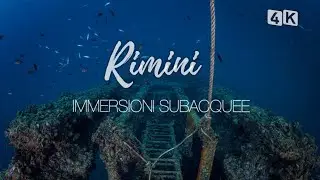 IMMERSIONI SUBACQUEE A RIMINI