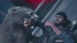 Days Gone: Killing hordes of freaks and zombfided animals attacking me 😭😱🔥