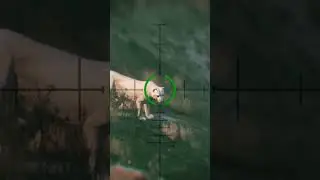 GTA 5 : Hunting Lion | Franklin sniper | #shorts #gta5