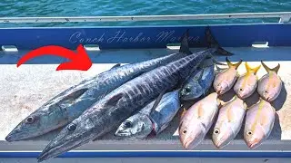 Offshore Trolling Key West Florida | Wahoo Kingfish Tuna Yellow Tail
