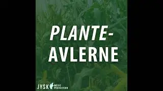 Planteavlerne 2025 - E28: Fra uddannelse til planteavler med Jonas Elsted Hansen