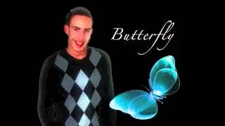 L-Imitata- Butterfly