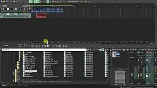 Tutorial ACID pro9