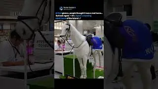 Japan&rsquo;s Hyper-Realistic Robot Horse at Tokyo Station 🐎