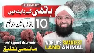 SHOCKING Facts about Elephants (Latest Research) | Soban Attari | Elephant Trunk and Tusks Secrets