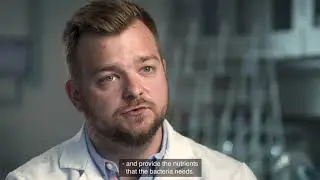 Well and Production Technology 2 &ndash; Self-healing Cement