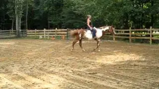 Zippos Sunshine Bar english with no hand contact