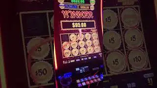 Quick WIN! #casino #casinolife #slotmachine #casinofun #winner #win #hot #jackpot  #dragonlink