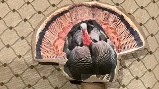 Making a mini cardboard reaping decoy #jesus #turkey hunting #struter