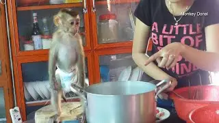 Donal So Hungry He Standing Wait Mom Give Him Test Soup