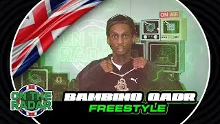 The Bambino Qadr 