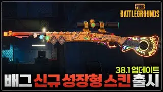 배그 38.1 신규 성장형 무기 M24 스킨 출시!