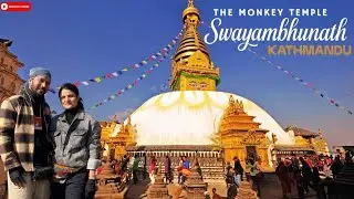 Exploring Kathmandu’s Monkey Temple 🇳🇵 | 365 Stairs, 450 Monkeys & Ancient Legends”