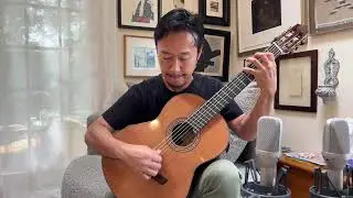 Oskar Graf Baritone Classical Nylon String, Low B tuning