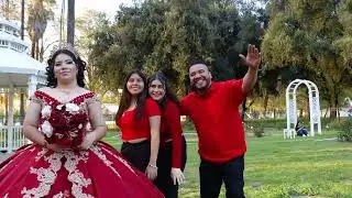 PREVIDEO ALONDRA