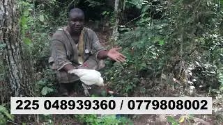 Démonstration mystique en pleine forêt: Le voyant Tchemogoba en action