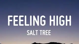 Salt Tree - Feeling High (Lyrics)