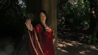 🐉 WHEN THE STORM BLOWS The Dragon Roams - Kim Andrews Ethereal Metal