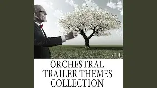How Beautiful