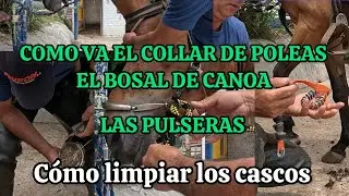 COMO VA PUESTO EL COLLAR DE POLEAS, EL BOSAL DE CANOA Y LAS PULSERAS